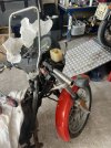 IMG_8182.jpeg