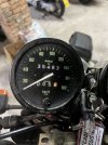 IMG_8435.jpeg