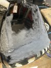 IMG_4446.jpeg