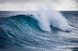 shutterstock_1017201121-1024x673.jpg