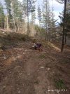 IMG_20240323_171239.jpg