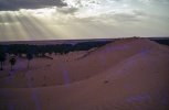 IMG_0073.jpg