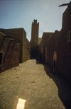 IMG_0168a.jpg