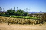 IMG_0234.jpg