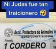 cordero.jpg
