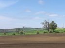 IMG_5814.JPEG