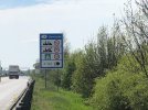 IMG_5817.JPEG