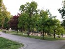 IMG_5917.JPEG