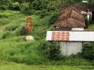 IMG_6726.JPEG