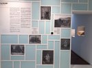 IMG_6017.JPEG