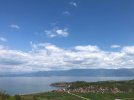 IMG_6172.JPEG