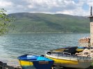 IMG_6175.JPEG