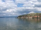 IMG_6181.JPEG