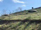 IMG_6184.JPEG