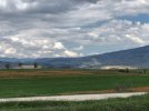 IMG_6276.JPEG