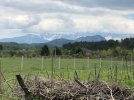 IMG_6288.JPEG