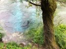 IMG_6431.JPEG