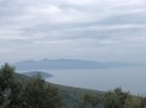 IMG_6463.JPEG