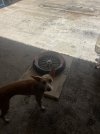IMG_9316.jpeg