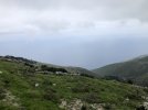 IMG_6489.JPEG