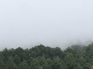 IMG_6491.JPEG