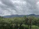IMG_6494.JPEG