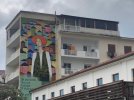 IMG_6577.JPEG