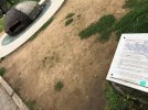 IMG_6688.JPEG