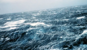 debilitamiento-corrientes-oceanicas-amoc-nutrientes-1715658303359_768.png