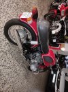 IMG_20240519_180635.jpg