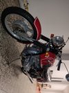 IMG_20240519_180609.jpg