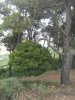 20150613_111841.jpg