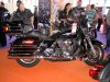 IMG_0542[1].jpg
