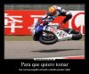 Lorenzo.jpg