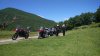 DSC_5170.jpg