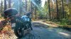 Moto bosque.jpg