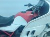 DSC02038.jpg