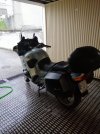 IMG_20240521_225529.jpg