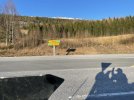 IMG_3539.jpeg