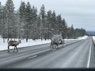 IMG_4629.jpeg
