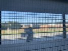 IMG_4810.jpeg