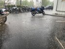 IMG_4962.jpeg