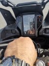 IMG_4398.jpeg