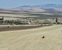 98_IMG_2148.JPG