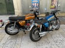 IMG_7950.jpeg
