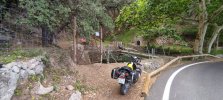 IMG_20240616_115931.jpg