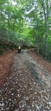 IMG_20240619_120404.jpg