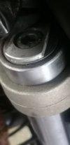 IMG_20240621_123705.jpg