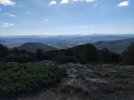 IMG_20240629_094600.jpg