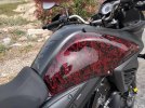 IMG_20240627_113428.jpg